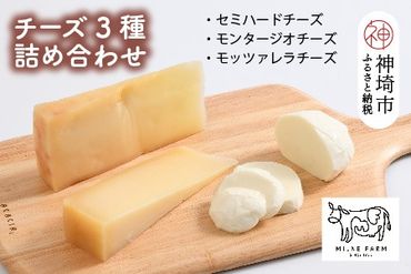 『ミルン牧場のフレッシュなモッツアレラ＆熟成チーズ』のセット100g×計5個(H102120)