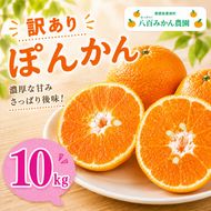 【先行予約】訳あり ぽんかん 10kg <発送期間：2027年1月下旬～無くなり次第終了> 八百みかん農園 の ぽんかん 10000円 家庭用 10kg 先行 事前 予約 受付 みかん 不知火 はるみ 防腐剤不使用 愛媛 産地直送 国産 農家直送 糖度 甘味 果樹園 期間限定 数量限定 特産品 ジュース 人気 限定 愛南  新鮮 果実 さわやか 風味 甘い フルーツ 果物 柑橘 蜜柑