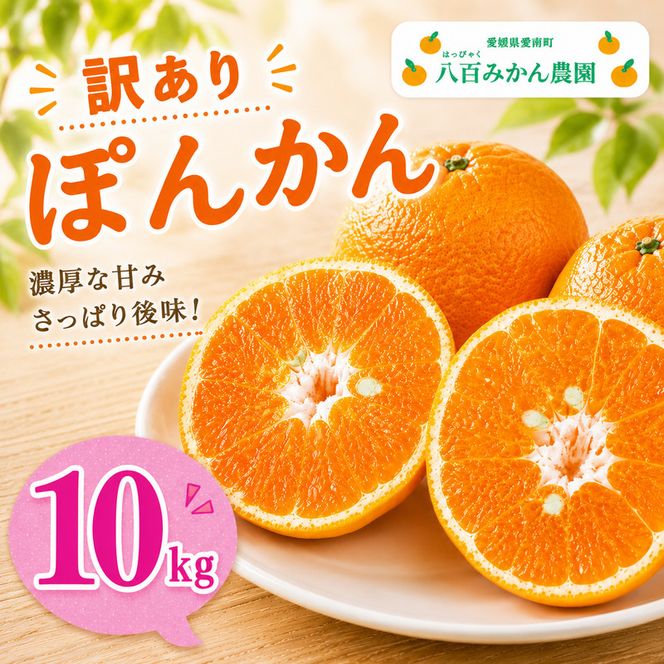 先行予約】訳あり ぽんかん 10kg <発送期間：2027年1月下旬～無くなり
