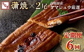 【定期便 6回】ヤマジュウ厳選 国産 ウナギ 蒲焼き 2尾(1尾あたり約175g～180g)×6回 6ヶ月 タレ付き 鰻 うなぎ かば焼き 加工品 魚 魚介類 高知県産 冷凍 送料無料　yj047