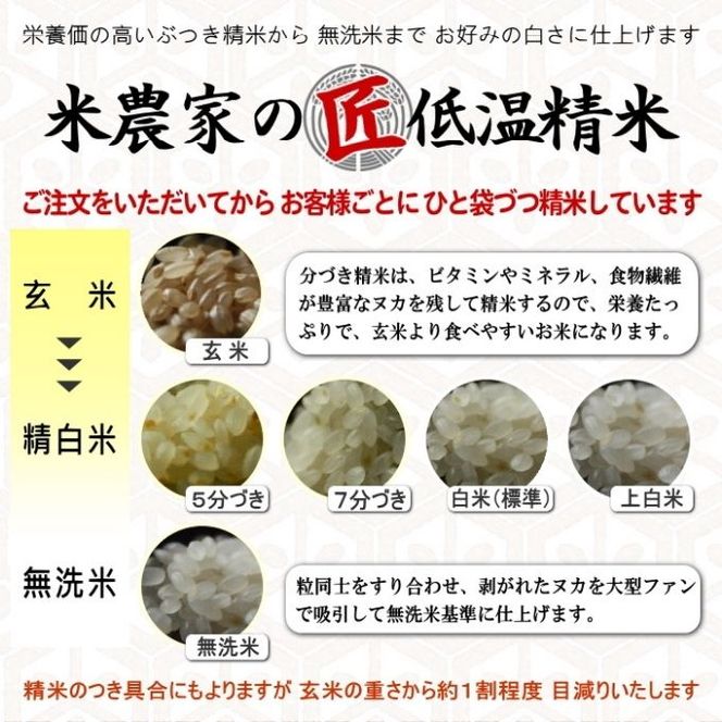 米 【令和7年産】 コシヒカリ 10kg 精米にて 奥播州源流 芥田川産 芥田川 農家直送 10キロ 国産米 こしひかり  贈り物 喜ばれる お米ギフト おいしいお米 お祝い 内祝い 贈答 美味しい おいしい 