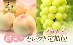 【2026年先行予約】 桃 ぶどう 欲張りセレクト 定期便 2回コース ( 白桃 ・ シャインマスカット ）《2026年7月上旬-8月中旬頃出荷》 もも モモ 葡萄 ブドウ 里庄町 数量限定