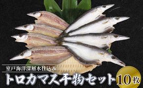 魚 干物 室戸市産トロカマス10枚 室戸海洋深層水仕込み 冷凍配送 贈答 ギフト
