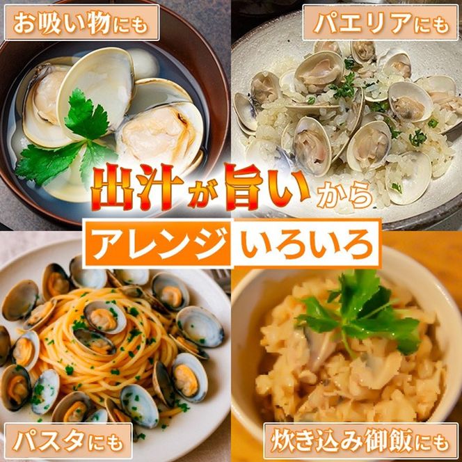 訳あり はまぐり 規格外 大はまぐり 10パック 計 4kg 貝 海鮮 魚介 海の幸 ハマグリ 蛤 海産物 国産 天然 産地直送 千葉県 九十九里 九十九里浜