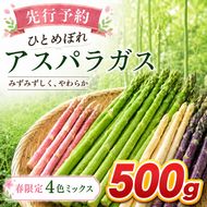 【先行予約】春限定 ひとめぼれアスパラガス 500g 4色 食べ比べ グリーン パープル ピンク ホワイト 産地直送 農家直送 野菜 新鮮 旬 アスパラ 春野菜 サラダ カラフル バーベキュー BBQ おすそ分け ファミリー