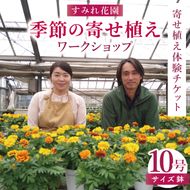 行方市の花農家「すみれ花園」季節の寄せ植えワークショップ(10号サイズ鉢)｜花 お花 季節の花 ワークショップ 体験 体験チケット ラーケーション ガーデンセラピー 寄せ植え 茨城県 行方市(EH-31)