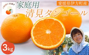 【先行予約】【家庭用】清見タンゴール 3kg ※北海道・沖縄・離島への配送不可（2026年3月中旬より順次発送） IKTAT005 