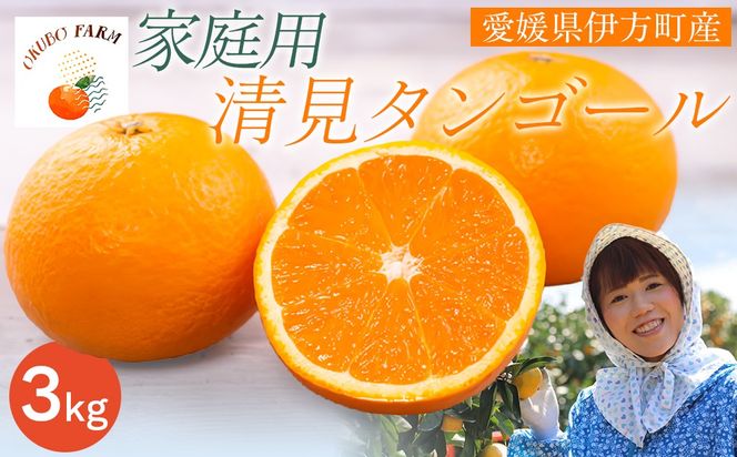 【先行予約】【家庭用】清見タンゴール 3kg ※北海道・沖縄・離島への配送不可（2026年3月中旬より順次発送） IKTAT005 