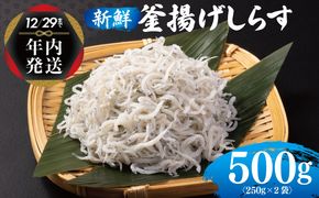 099H3022y 【年内発送】 新鮮 釜揚げしらす 合計 500g 小分け 250g×2P