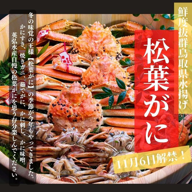 【特選】松葉ガニ 大サイズ 約700g～800g タグ付(茹で) 312011_EG002