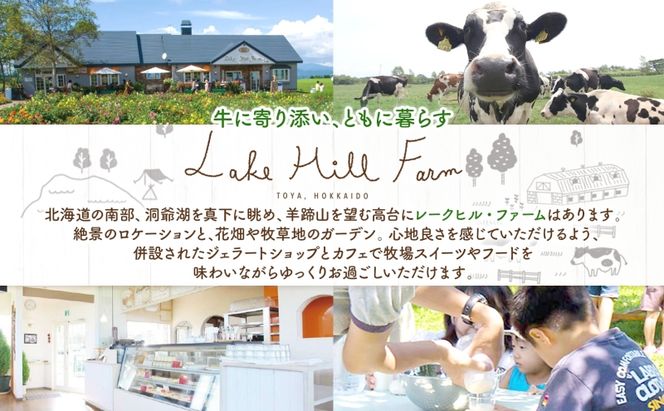 オリジナルフィナンシェギフト 8個入り フィナンシェ 焼菓子 焼き菓子 お菓子 デザート おやつ スイーツ クルミ くるみ くるみフィナンシェ ブルーベリー ブルーベリーフィナンシェ お取り寄せ 送料無料 北海道 洞爺湖町