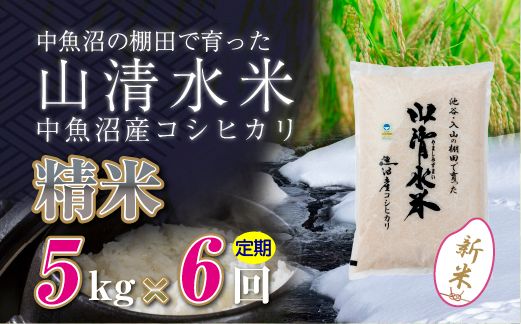 【令和8年産 新米】 【定期便／全6回】精米5kg　新潟県魚沼産コシヒカリ「山清水米」十日町市 米