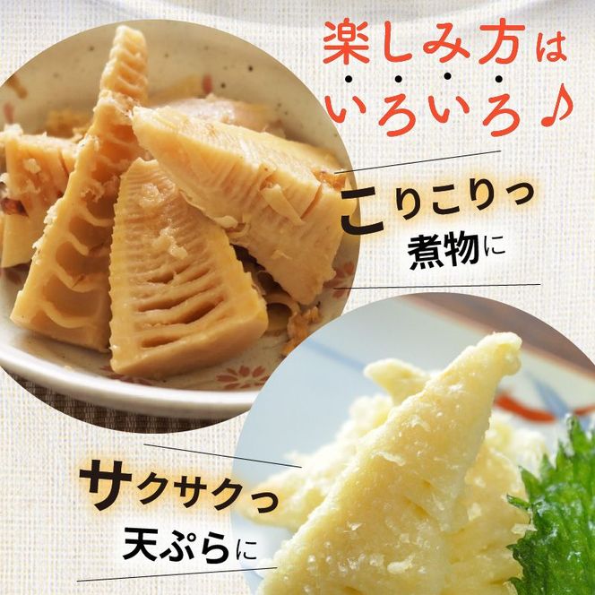 たけのこ水煮1kg N067-YA1104