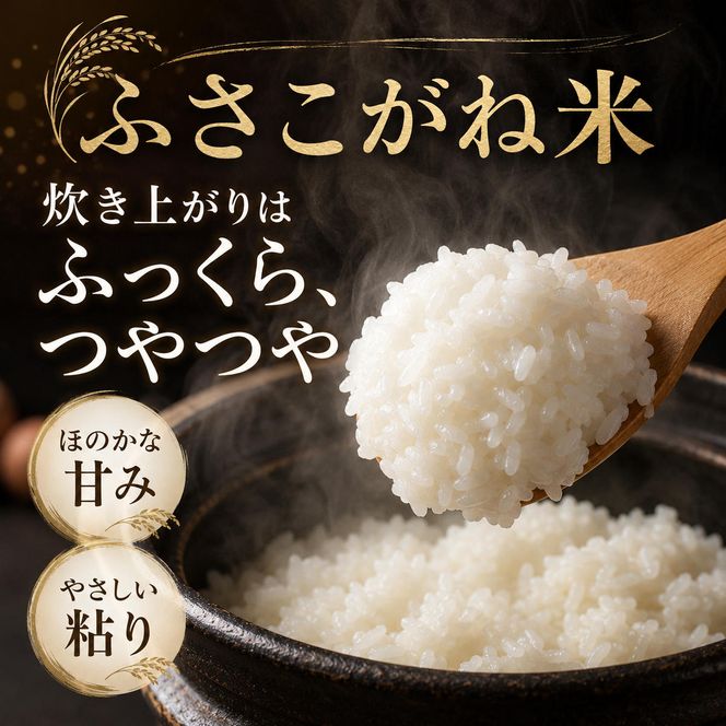 【新米】米 ふさこがね 5kg まなびファーム 令和8年産  白米 精米 ブランド米 産地直送 新米 九十九里町