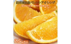 秀品　希少な国産バレンシアオレンジ　2.5kg　※2026年6月下旬頃～7月上旬頃 順次発送予定（お届け日指定不可）【uot752】