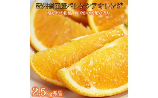 秀品　希少な国産バレンシアオレンジ　2.5kg　※2026年6月下旬頃～7月上旬頃 順次発送予定（お届け日指定不可）【uot752】
