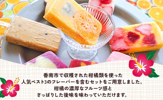 アイス 【12回定期便】手作りアイスキャンデー 12本セット Wys-0033