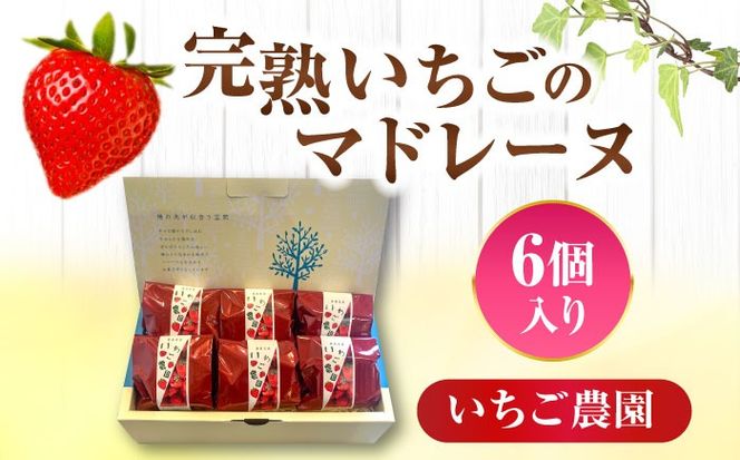 【配達不可：離島】 愛西市産 いちごのマドレーヌ いちご農園 6個入り マドレーヌ 洋菓子 いちご 愛西市／エール・ブランシュ[AEAU005]