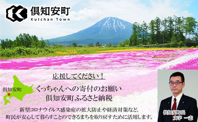 【CF】無地熨斗 北海道 倶知安 カレー 3種 食べ比べ セット 計6個 中辛 ビーフ ポーク 牛すじ カレー 詰め合わせ じゃがいも 牛 牛肉 豚肉 肉 業務用 レトルトカレー お取り寄せ ギフト 倶知安町 お肉 