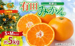 ZJ6078_【2026年先行予約】ご家庭用　和歌山 有田みかん 約5kg (S、Mサイズ)【湯浅町】
