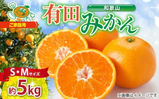 ZJ6078_【2026年先行予約】ご家庭用　和歌山 有田みかん 約5kg (S、Mサイズ)【湯浅町】