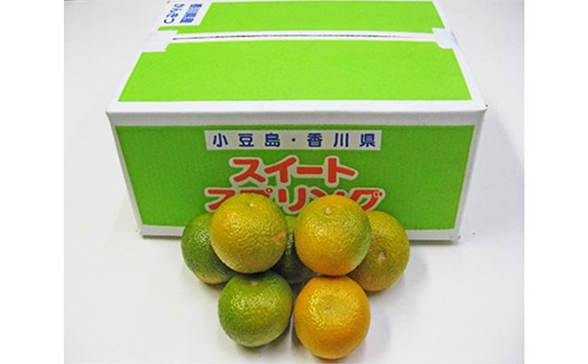 【 小豆島 】スイートスプリング　約5kg 果物類 柑橘類 フルーツ 