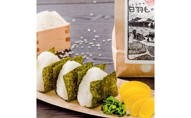 【通年受付】≪令和8年産≫【定期便／全12回】農家直送！魚沼産コシヒカリ特別栽培「白羽毛の米」精米(5kg×2袋)×12回 120kg お米