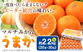 【CF】丹精込めて育てました！マルチみかん「うまか」 1箱 2.2kg 《11月中旬-12月末頃に出荷予定(土日祝除く)》 広畠農園 【配送不可地域あり】(離島) みかん ミカン 蜜柑 早生 柑橘 佐那河内 徳島県 箱入り 化粧箱 S M L フルーツ 果物 くだもの 贈答 進物---sanagouchi_hhn_1_1hk---