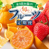 【定期便 全3回】紀州和歌山産旬のフルーツ定期便（温州みかん、いちご、紀州デコ）_G60-T84