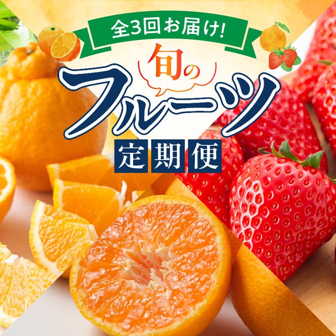【定期便 全3回】紀州和歌山産旬のフルーツ定期便（温州みかん、いちご、紀州デコ）_G60-T84
