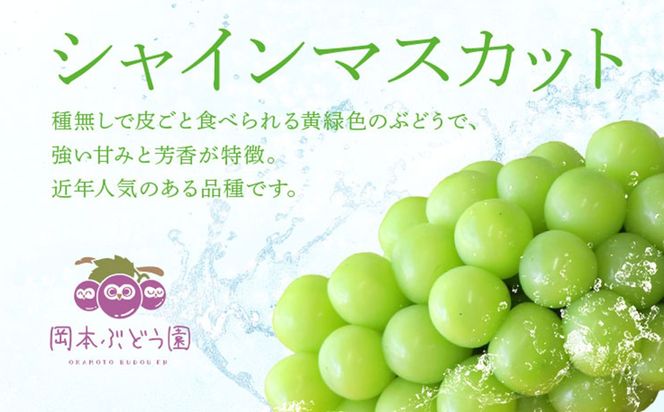 【A5-542】シャインマスカット 約750g
