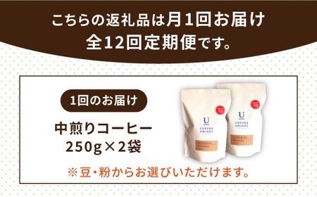 【全12回定期便】中煎り コーヒー 豆 ウニドスブレンド 250g × 2袋 ( 豆 ・ 粉 選べます ) 糸島市 / COFFEE UNIDOS [AQF023] 珈琲 カフェ コーヒー粉
