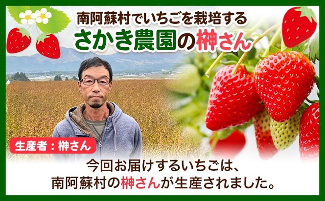 朝摘みいちご ゆめのか 280g×4パック 高地栽培 味采市場 《1月末-3月末頃より出荷予定》 熊本県南阿蘇村 味采市場 いちご 苺 イチゴ フルーツ くだもの 果物---sms_cajicgym_ec13_r7_12500_1120g---