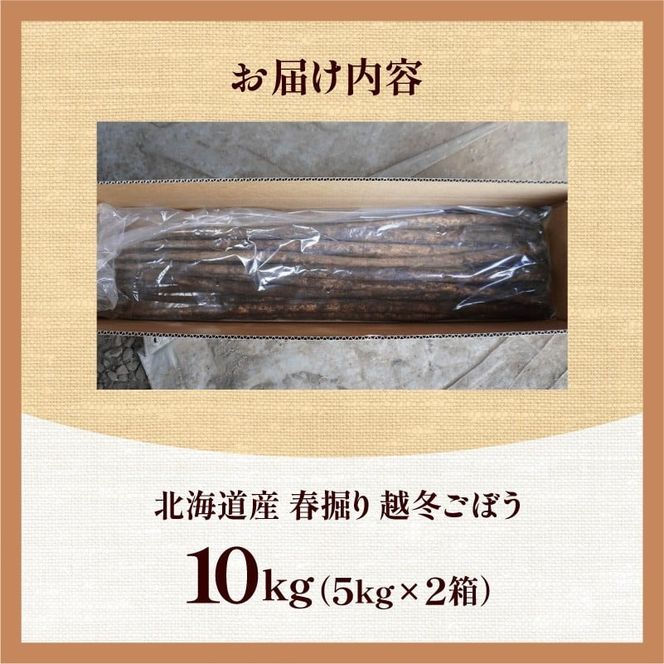 先行受付！2026年4月頃～発送開始！北海道十勝清水町産 春堀り 新鮮 越冬ごぼう！ 10kg 北海道産 ごぼう 土付ごぼう ゴボウ 根菜_S045-0002