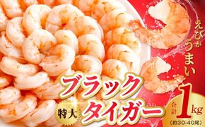 kgpZ009 【定期便】高級ブラックタイガー 1kg【特大 30-40尾 背ワタなし 下処理不要  えび 海老 訳あり サイズ不揃い バラ凍結 2026年2月＆5月発送 全2回】