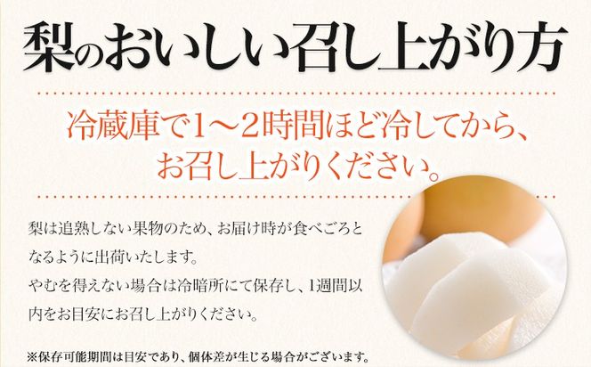 ＜2026年先行予約＞ 梨 くまもと梨 秋 旬 なし 幸水 豊水 先行 果物 くだもの フルーツ 送料無料 あきづき 甘太 新高 新興 約4.5～5kg(8玉～22玉前後) 熊本県産【着日指定不可】《8月下旬-11月中旬頃出荷》旬 果物 お取り寄せ ナシ---fn_cngsnasi_h811_r8_13500_5kg---