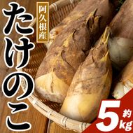 ＜先行予約受付中！2027年3月下旬以降順次発送予定＞  鹿児島県産 青果 たけのこ (約5kg) 国産 阿久根市産 野菜 たけのこ タケノコ 筍 旬 煮物 水煮 天ぷら つくだ煮 数量限定 期間限定 産地直送 【迫口大将】akn110-01