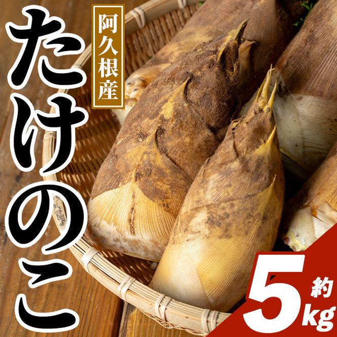 ＜先行予約受付中！2027年3月下旬以降順次発送予定＞  鹿児島県産 青果 たけのこ (約5kg) 国産 阿久根市産 野菜 たけのこ タケノコ 筍 旬 煮物 水煮 天ぷら つくだ煮 数量限定 期間限定 産地直送 【迫口大将】akn110-01