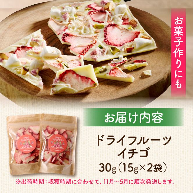 ドライフルーツ イチゴ 30g(15g×2袋) ［175R03］ 30g 砂糖不使用 甘味 乾燥 スライス ヨーグルト アイスクリーム お菓子 おやつ トッピング お菓子作り 保存に便利 チャック付き 紅茶 愛知県 小牧市 送料無料