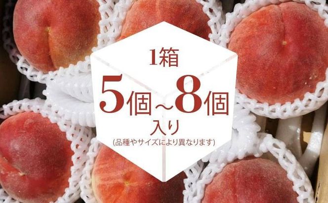 【2025年先行予約】都留市産　厳選　桃　詰め合わせ GV001