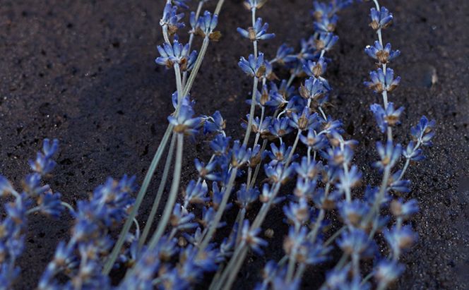 石鹸 LEAF＆BOTANICS A セット 3種 松山油脂 美容 固形石鹸 液体石鹸 石けん マザーソープ ハンドソープ ハンドクリーム ボタニクス せっけん いい香り 美容グッズ スキンケア 