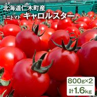 [2026年発送] 北海道 仁木町産 ミニトマト キャロルスター 1.6kg （64粒～100粒）トマト 野菜 国産 プチトマト 甘み 使いやすい サラダ お弁当 家庭用 子供に人気 リコピン [REDA FARM]