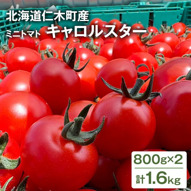 [2026年発送] 北海道 仁木町産 ミニトマト キャロルスター 1.6kg （64粒～100粒）トマト 野菜 国産 プチトマト 甘み 使いやすい サラダ お弁当 家庭用 子供に人気 リコピン [REDA FARM]