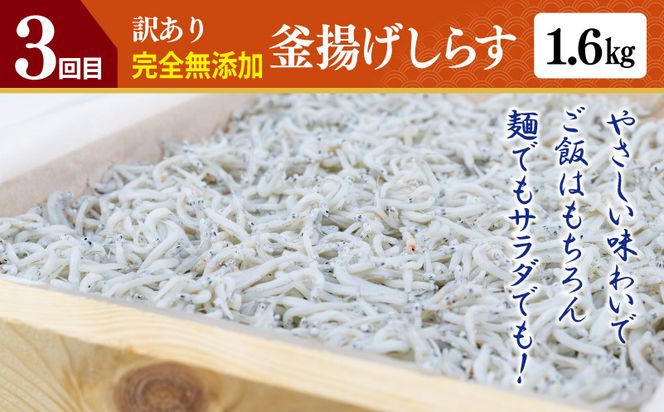 G1246 店主セレクト 食べ比べ 定期便 全5回（ハンバーグ／しらす／スンドゥブチゲ／サムギョプサル／干し芋）【毎月配送コース】