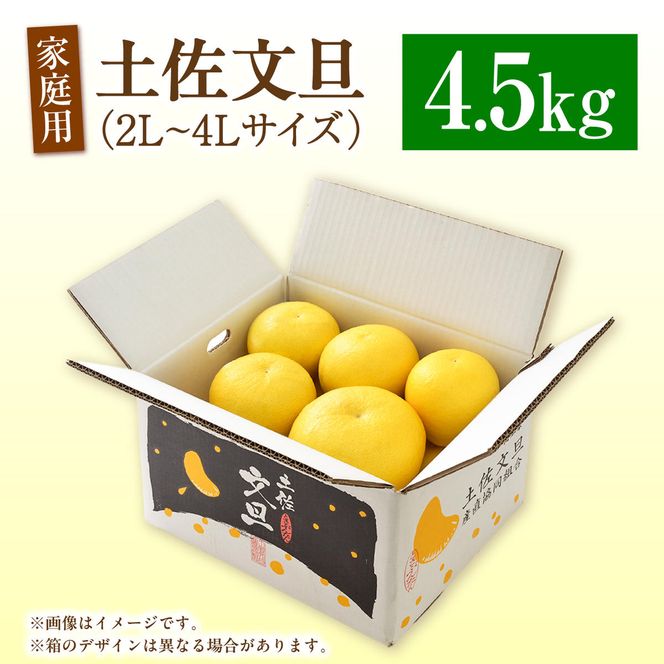 【先行予約】生産者直送 土佐文旦 約4.5kg [サイズおまかせ 2L～4L] 家庭用＜2027年1月下旬より発送＞  家庭用 文旦 柑橘 みかん フルーツ 果物 産地直送 お取り寄せ【土佐文旦産直協同組合】