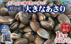 翌日配送 航空便 北海道 厚岸産 あさり 500g×2パック (合計1kg) 大中混合 アサリ 魚貝 海 美味しい 栄養 旨み 砂出し 水洗い 冷蔵 冷凍保存可能 便利
