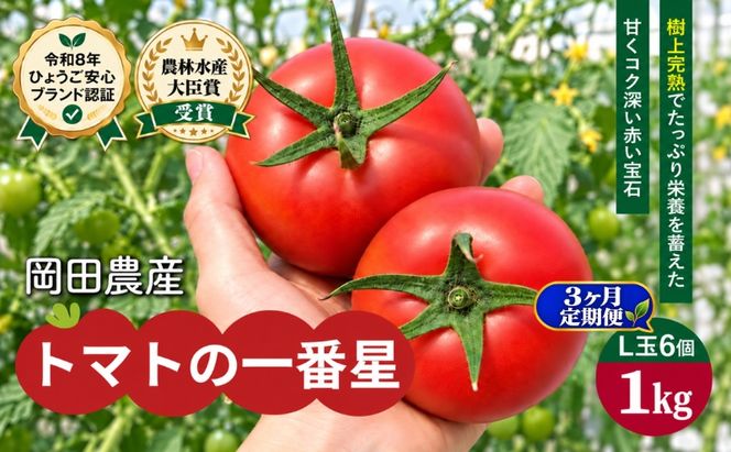 【3ヶ月定期便】トマト 1kg トマトの一番星 野菜 とまと 完熟 高糖度 甘い 受賞 冷蔵配送