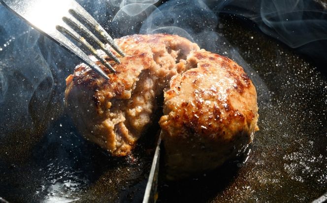 飛騨牛 入り ハンバーグ 16個 | ハンバーグ 生ハンバーグ 飛騨牛 肉 牛 牛肉 ふっくら ジューシー 時短 おかず 惣菜 夕食 冷凍 小分け 焼くだけ 岐阜 瑞穂市 まるたか