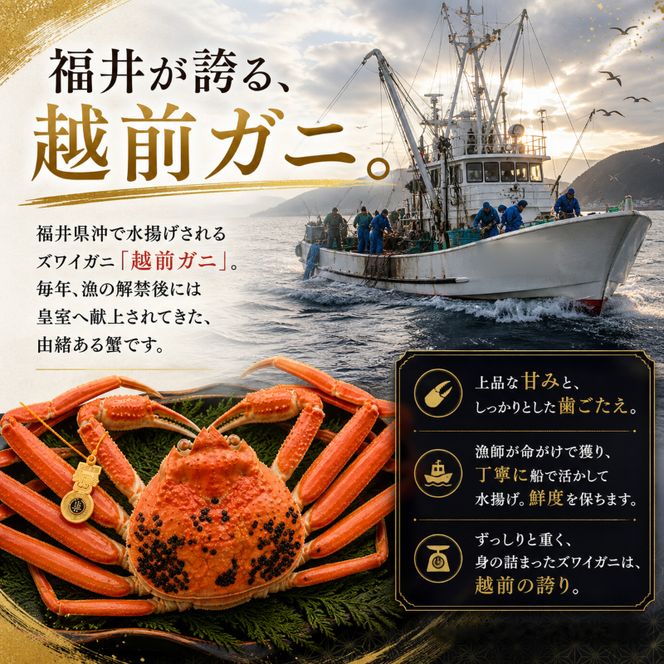 茹で越前ガニ【年末お届け】食通もうなる本場の味をぜひ、ご堪能ください。約2kg以上（3～6杯）訳あり（脚折れ含む）越前がに 越前かに ずわいがに かに カニ ボイルガニ 蟹 