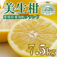 フルーツアイランド・マルエム青果の美生柑(みしょうかん) 7.5kg (なくなり次第終了)